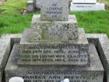image of grave number 816076
